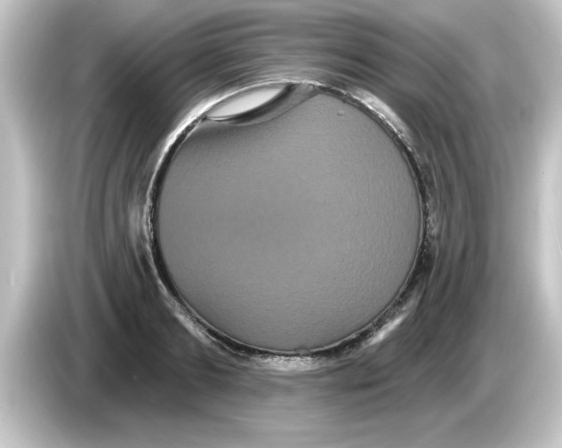X0000084580893200703161738
