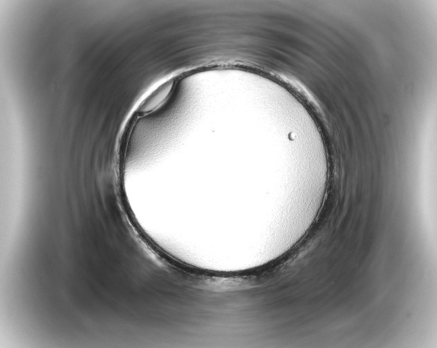 X0000084580894200703161738
