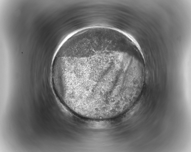 X0000084580895200703161738