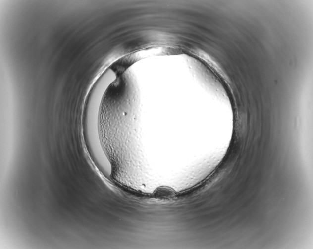 X0000084580898200703161738