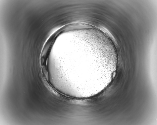 X0000084580900200703161738