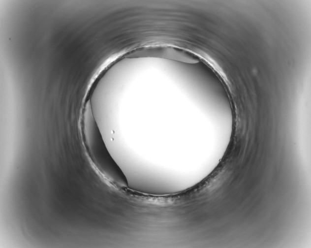 X0000084580901200703161738