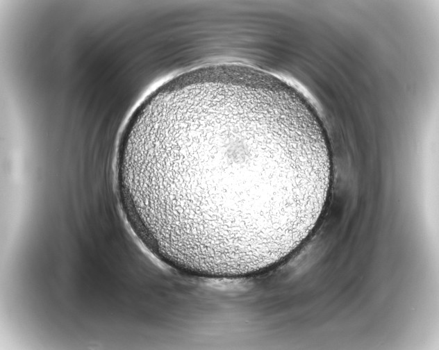 X0000084580902200703161738