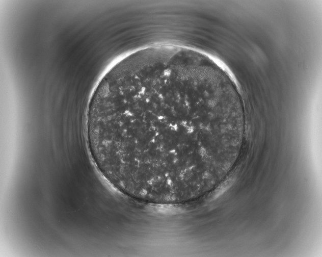 X0000084580903200703161738