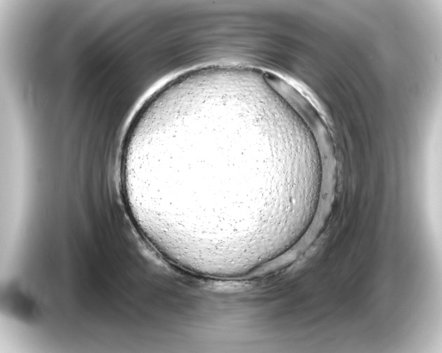 X0000084580904200703161738