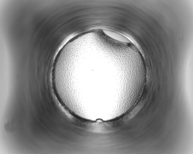 X0000084580906200703161738