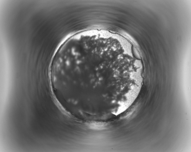 X0000084580907200703161738