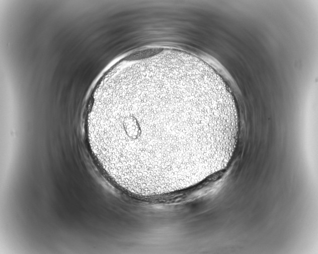 X0000084580908200703161738