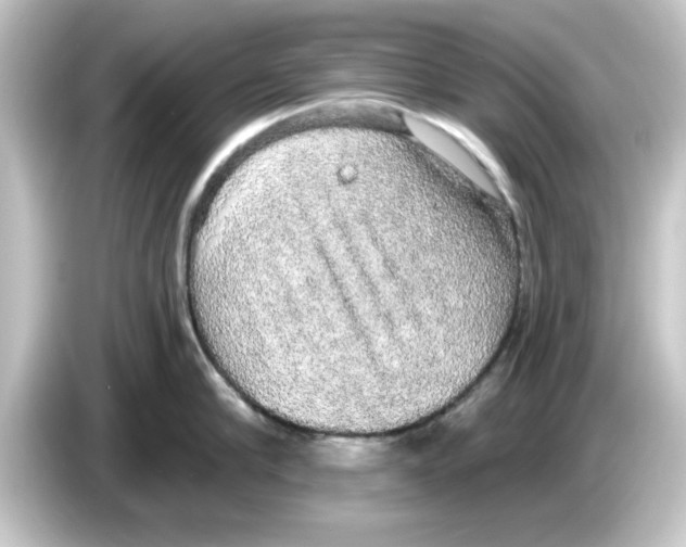 X0000084580910200703161738