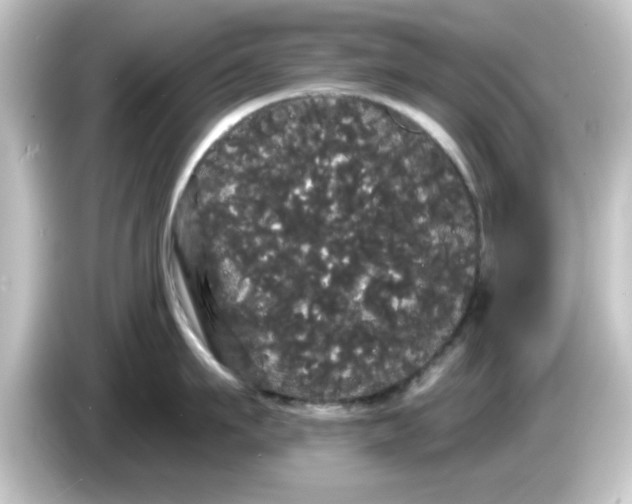 X0000084580911200703161738