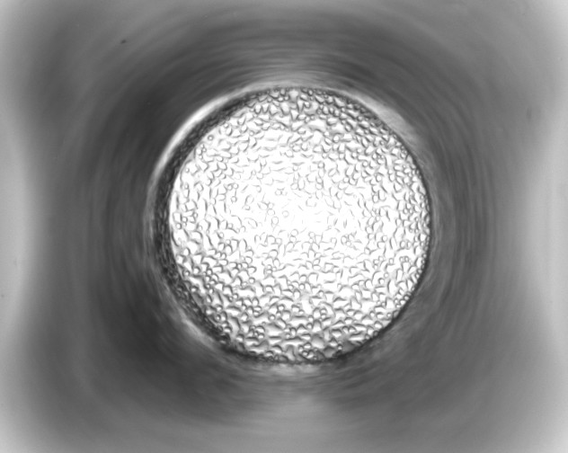 X0000084580912200703161738