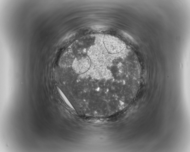 X0000084580917200703161738