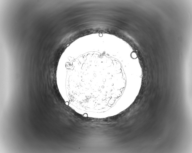 X0000084580918200703161738