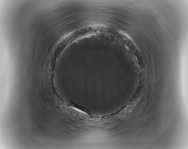 X0000084580919200703161738