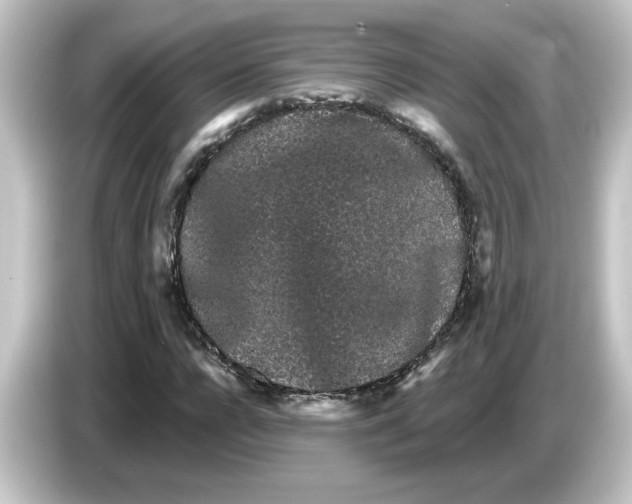 X0000084580920200703161738