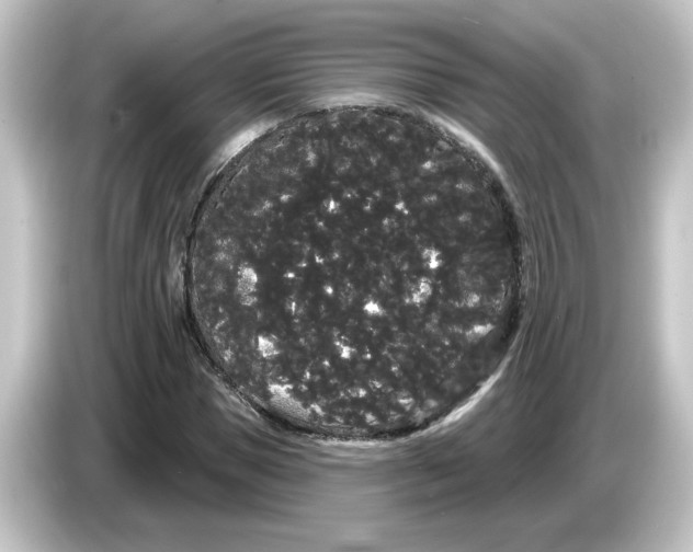 X0000084580921200703161738