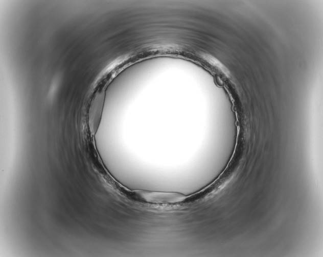 X0000084580922200703161738