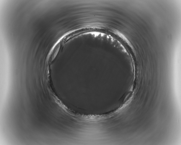 X0000084580923200703161738