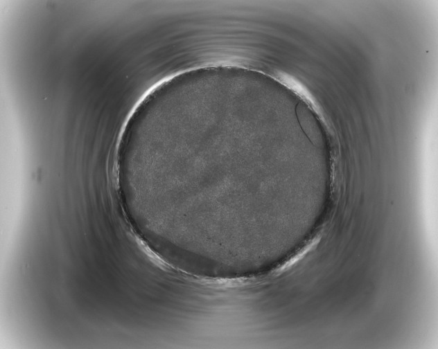 X0000084580924200703161738