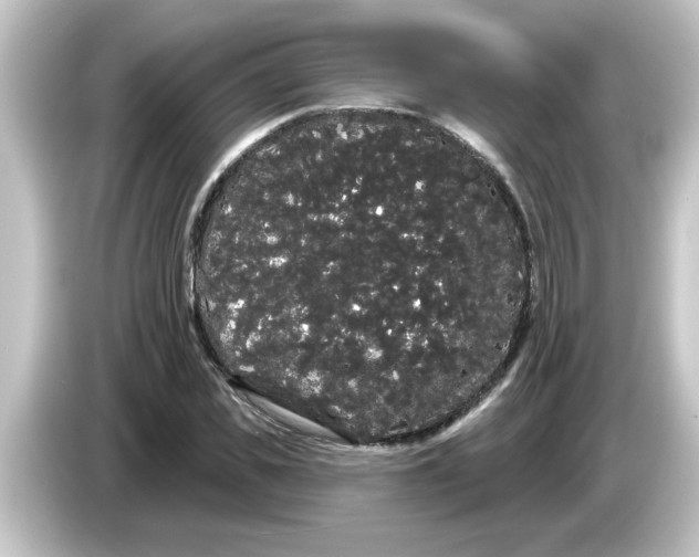 X0000084580925200703161738
