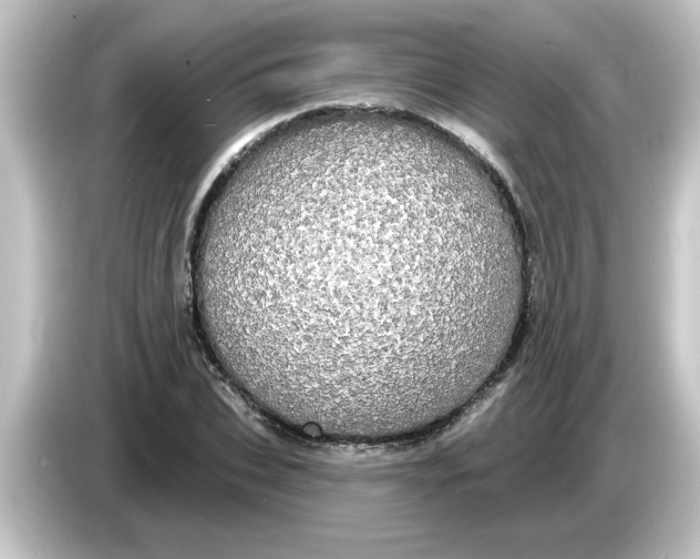X0000084580927200703161738
