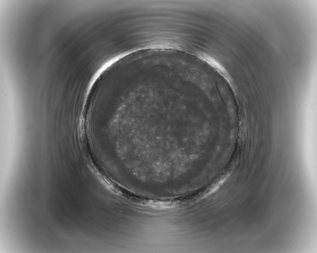 X0000084580928200703161738