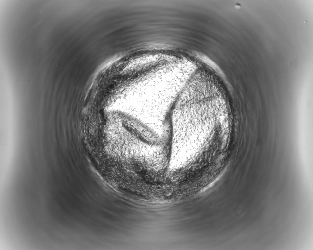 X0000084580930200703161738