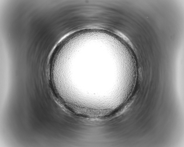 X0000084580931200703161738