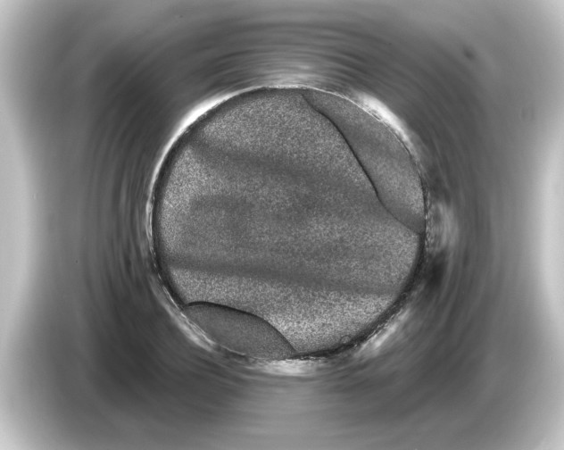 X0000084580932200703161738