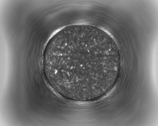 X0000084580933200703161738