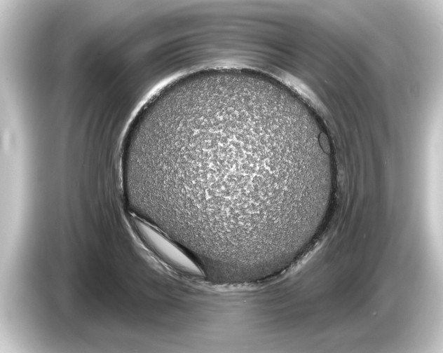 X0000084580934200703161738