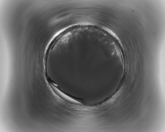 X0000084580935200703161738