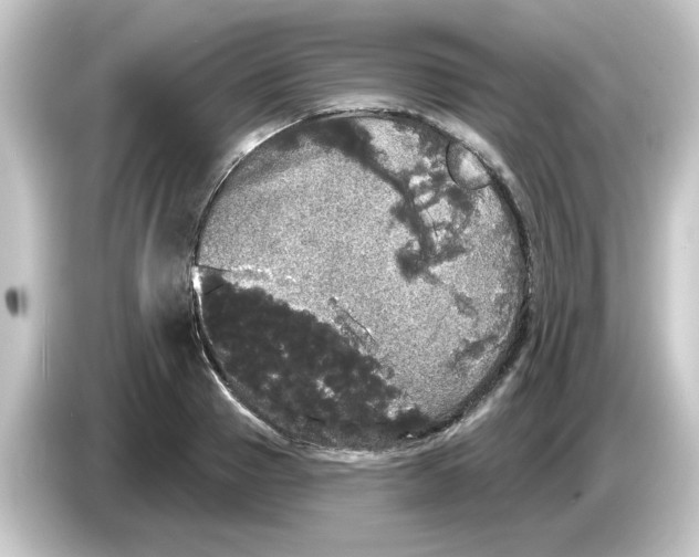 X0000084580937200703161738