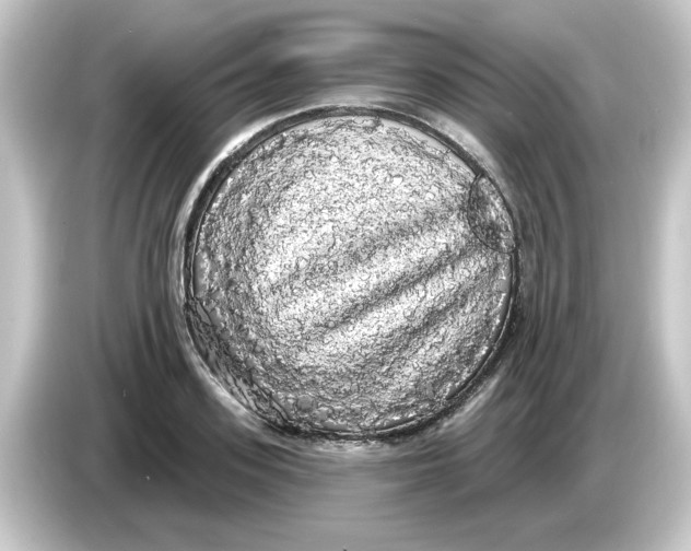 X0000084580939200703161738