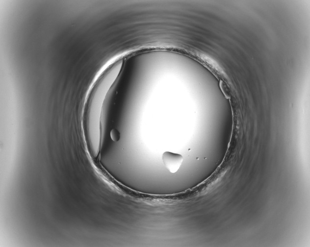 X0000084580942200703161738