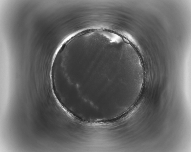 X0000084580943200703161738