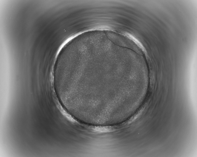 X0000084580944200703161738