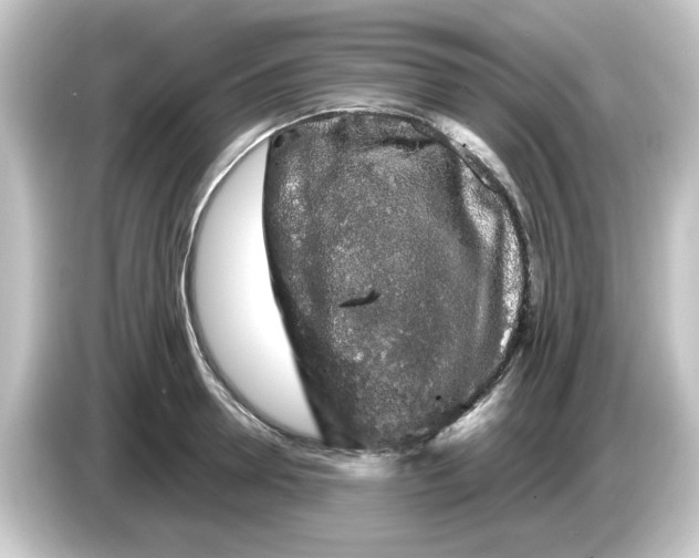 X0000084580946200703161738