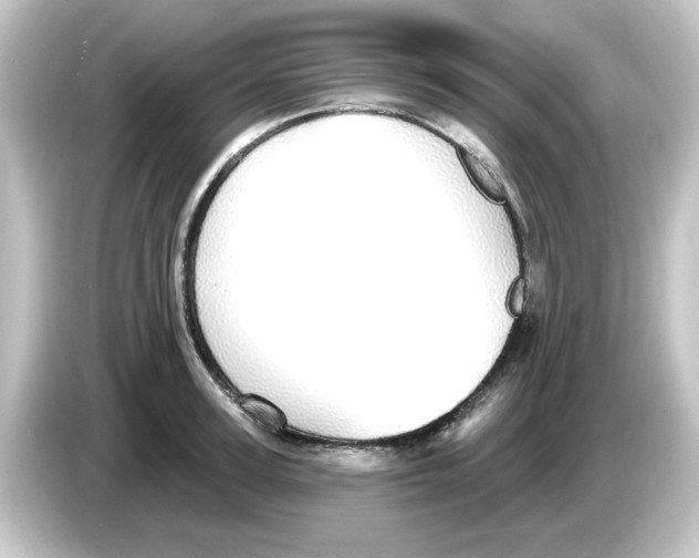 X0000084580947200703161738