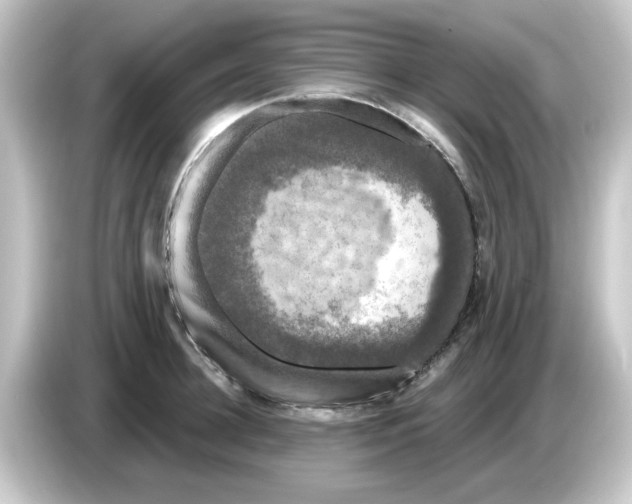 X0000084580948200703161738