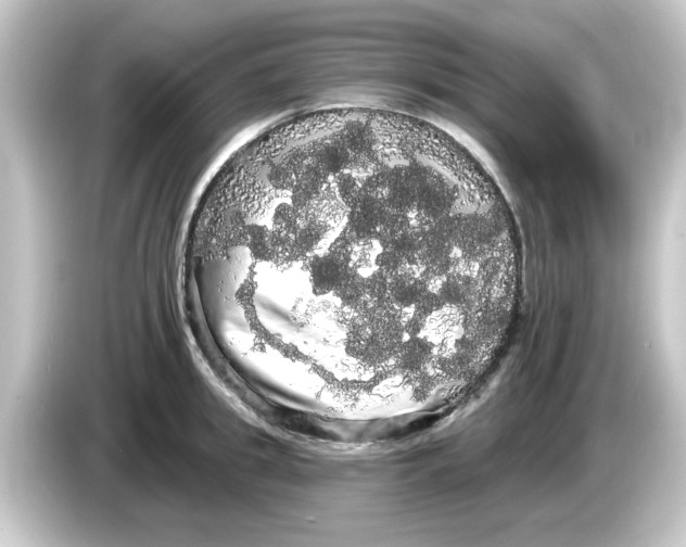 X0000084580949200703161738