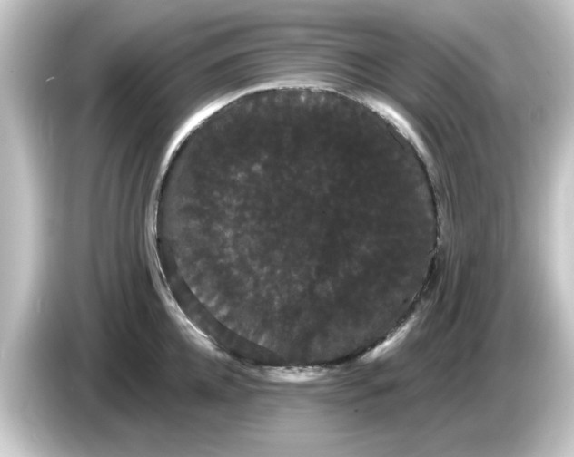 X0000084580952200703161738
