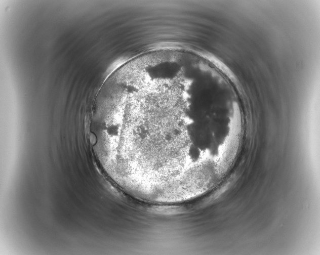 X0000084580953200703161738