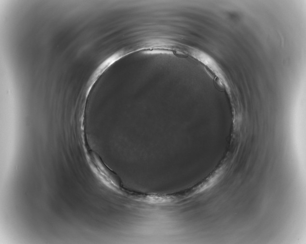 X0000084580954200703161738