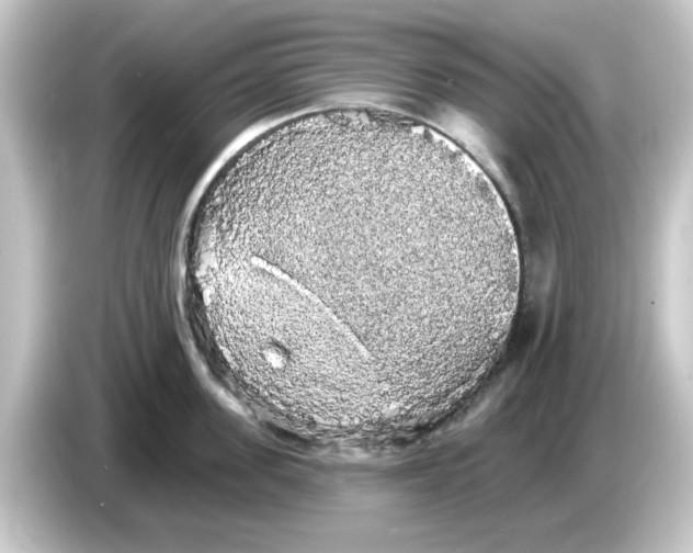 X0000084580955200703161738
