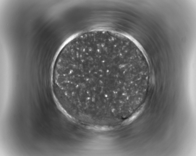X0000084580957200703161738