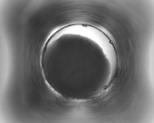 X0000084580958200703161738