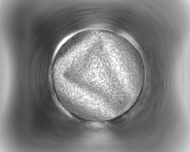 X0000084580960200703161738