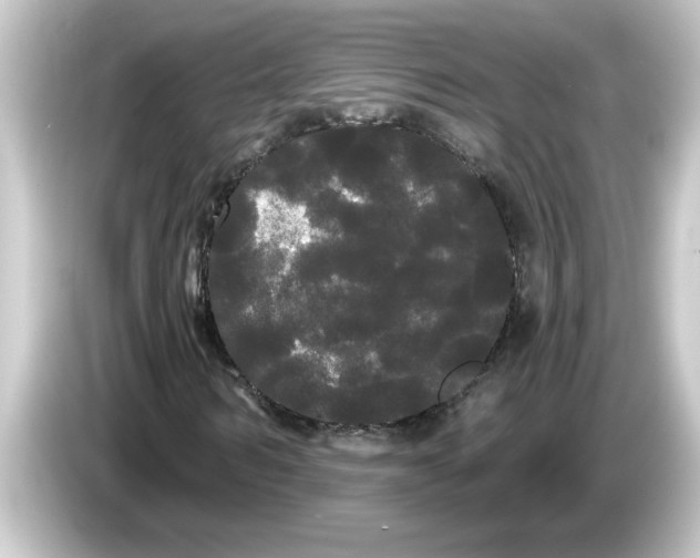 X0000084580962200703161738
