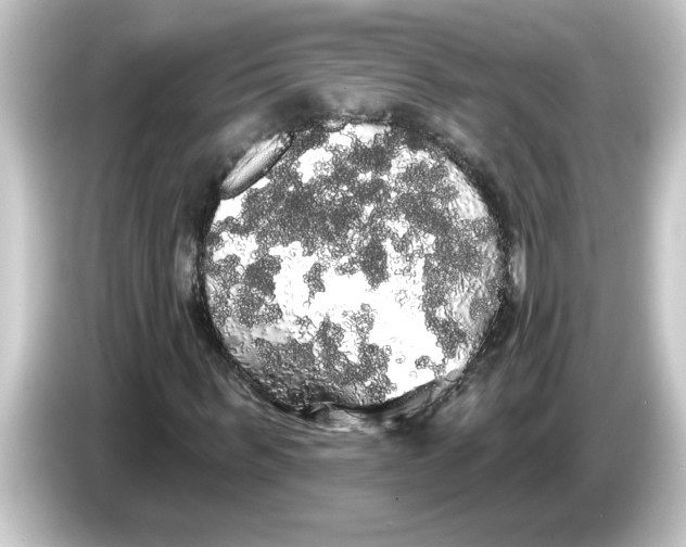 X0000084580963200703161738